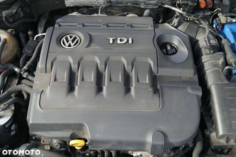Volkswagen Golf - 21