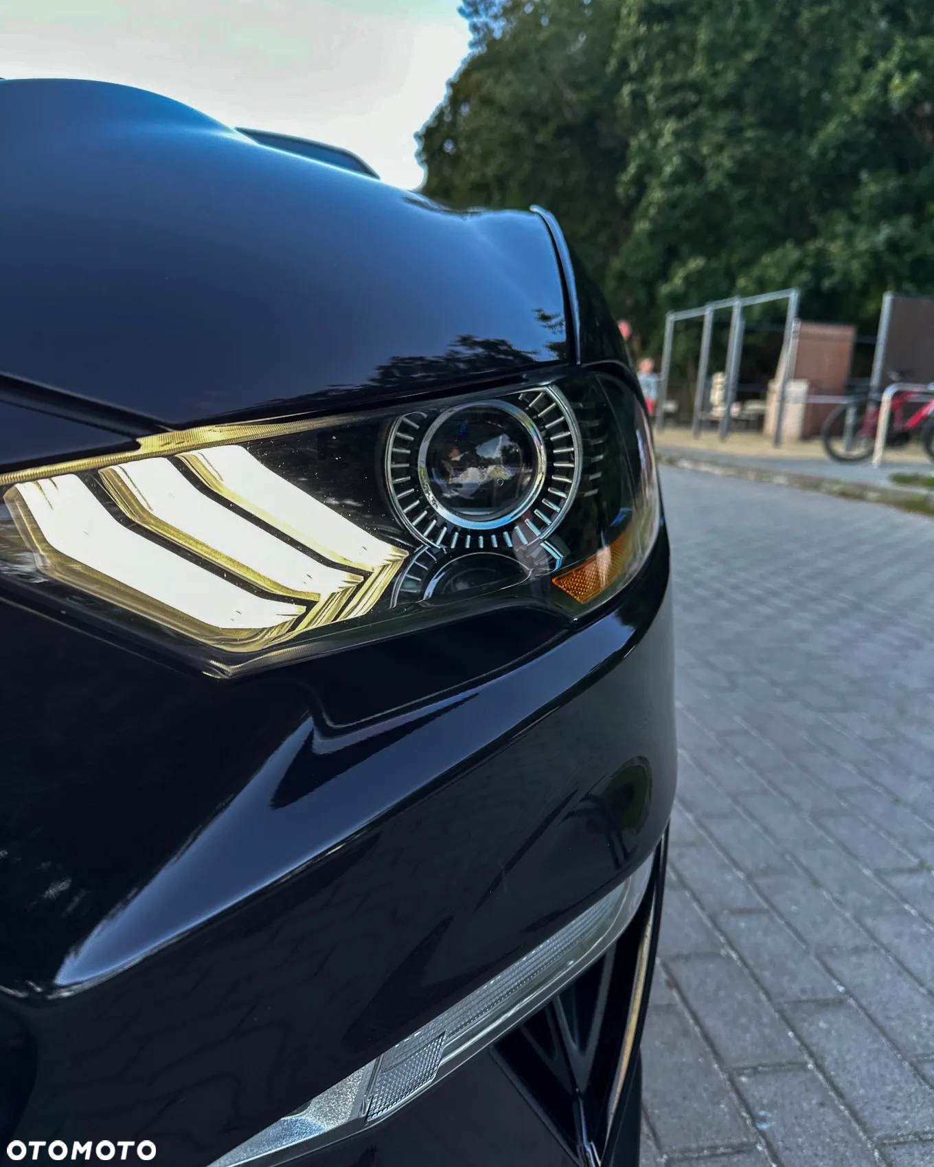 Ford Mustang Fastback 5.0 Ti-VCT V8 Dark Horse - 16