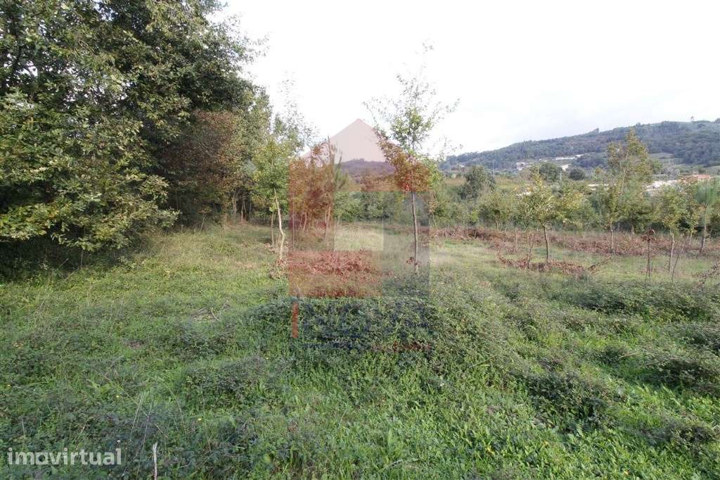 Terreno agrícola, Godinhaços - Grande imagem: 2/11