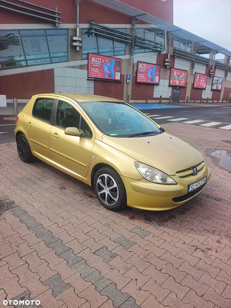 Peugeot 307 - 5