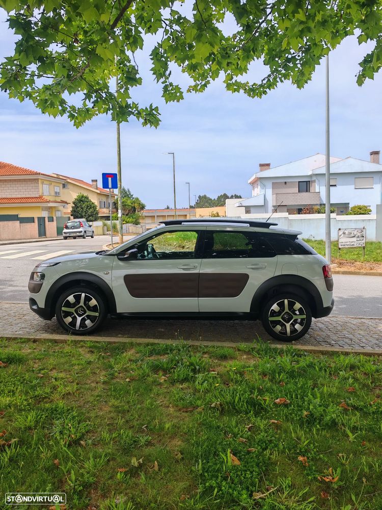 Citroën C4 Cactus PureTech 110 Stop&Start Shine - 30