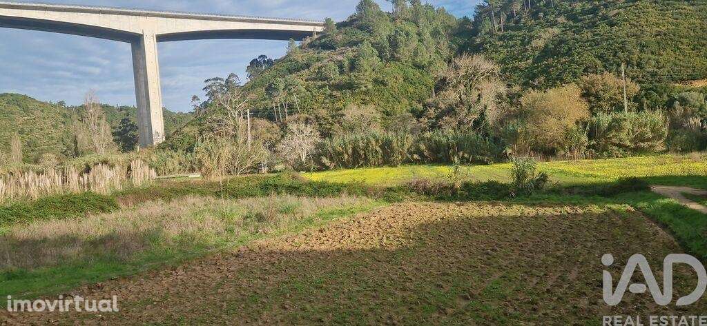 Terreno Agrícola em Carvoeira - Grande imagem: 3/23