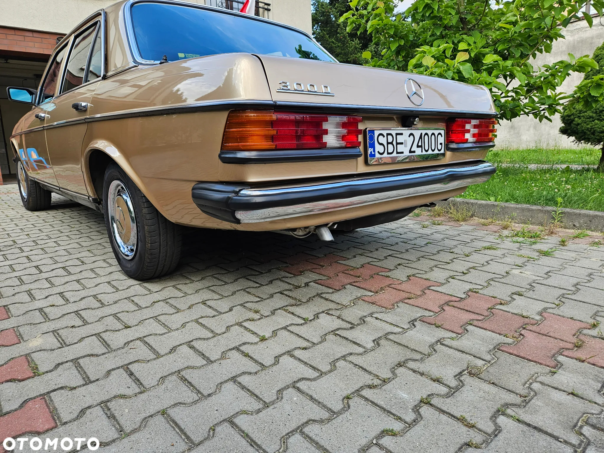 Mercedes-Benz W123 - 4