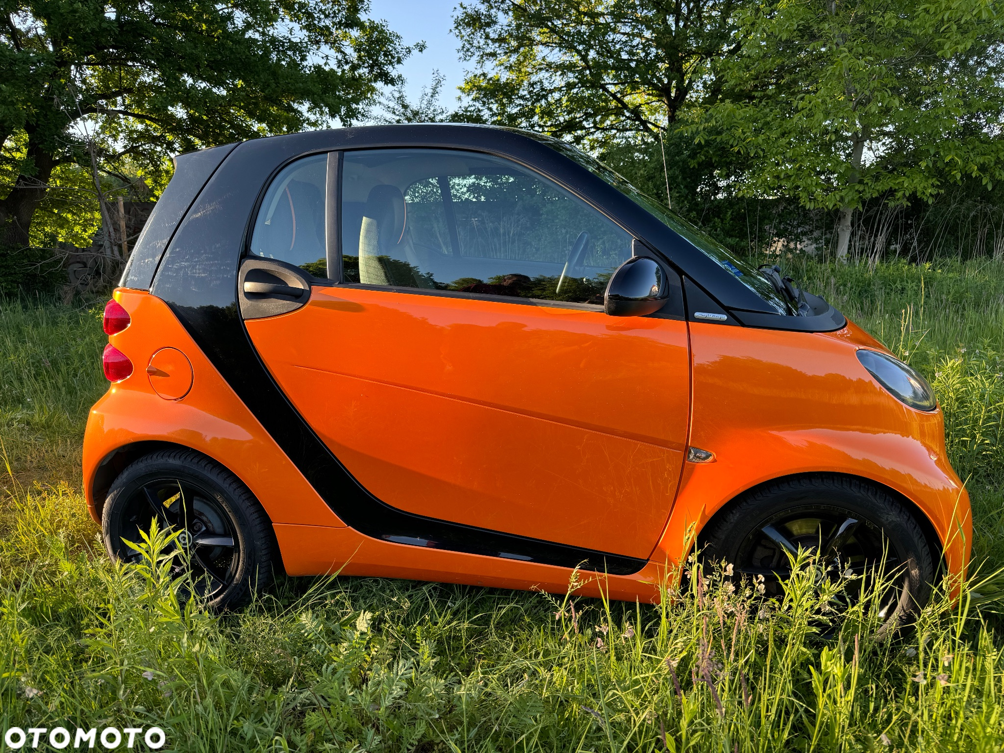 Smart Fortwo & passion cdi dpf - 2