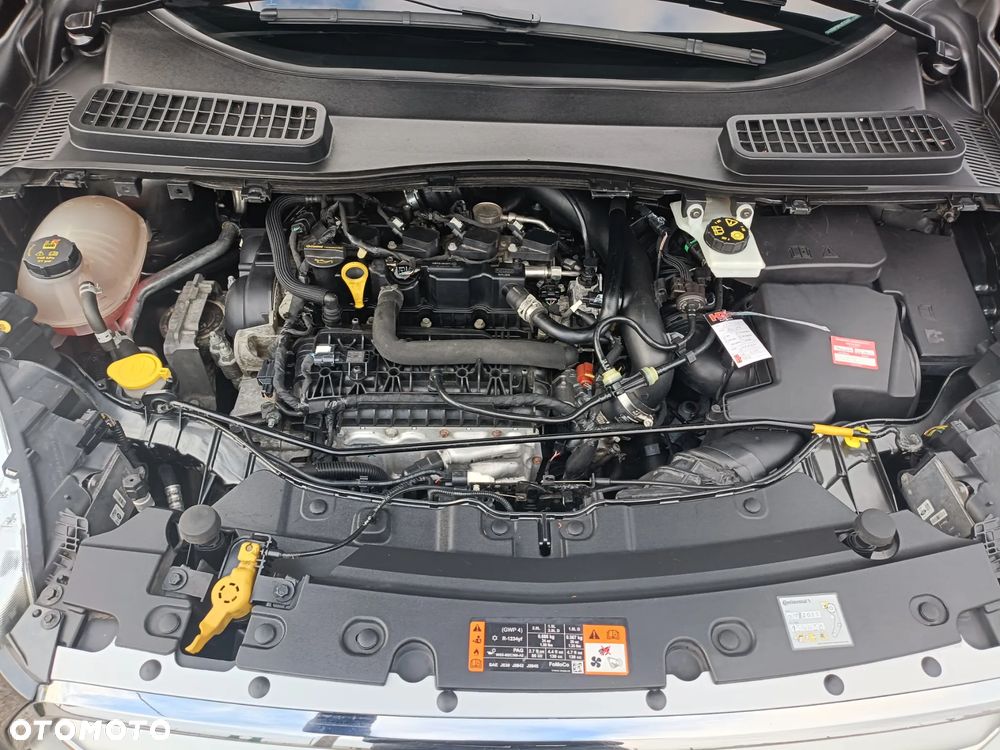 Ford Kuga 1.5 EcoBoost 2x4 Titanium - 19