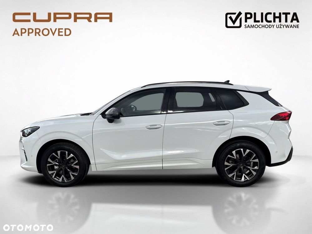 Cupra Terramar 2024