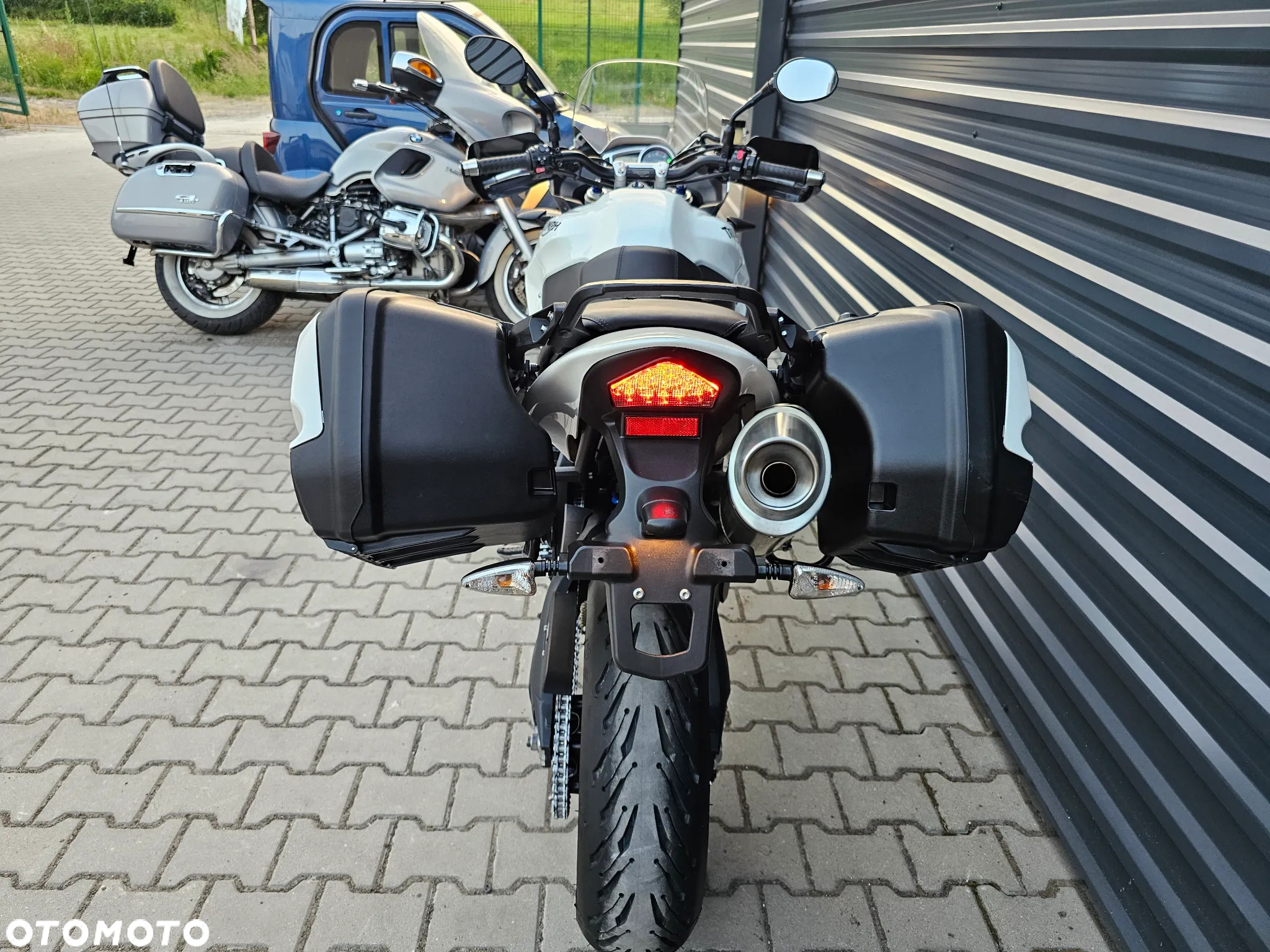 Triumph Tiger - 19