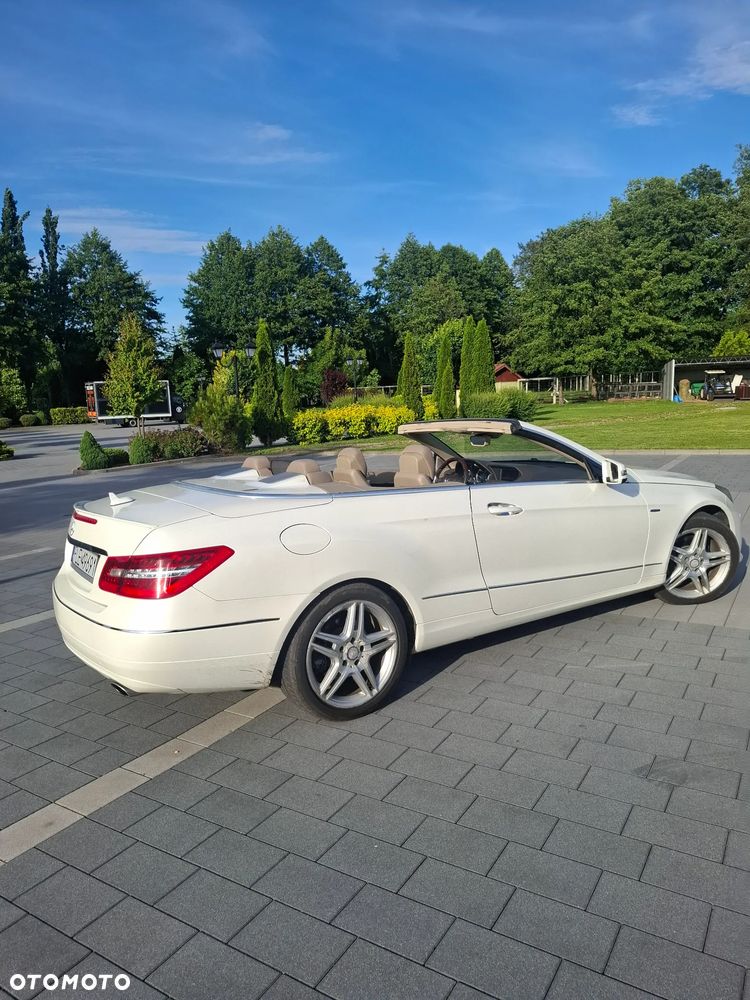 Mercedes-Benz Klasa E 350 Classic Sport Edition AMG - 6