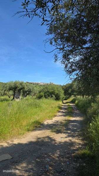 Excelente Quinta com potencial para turismo rural ou mesmo particular. - Grande imagem: 3/3