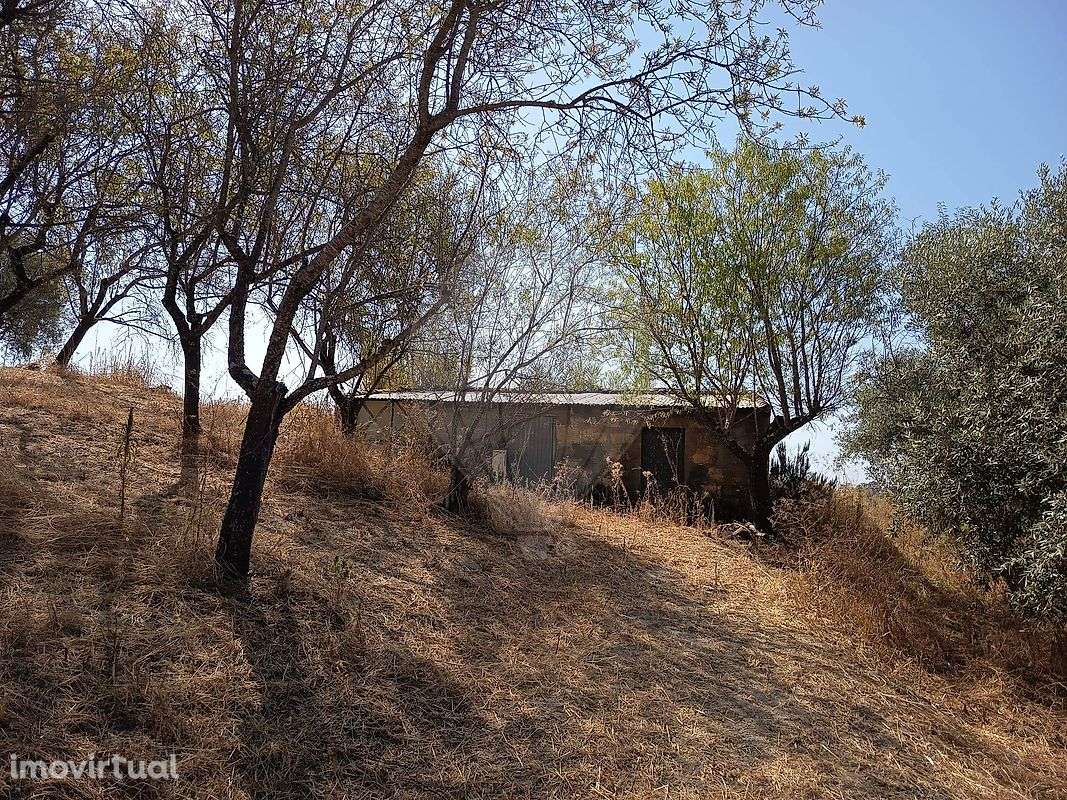 Terreno  para venda - Grande imagem: 5/6