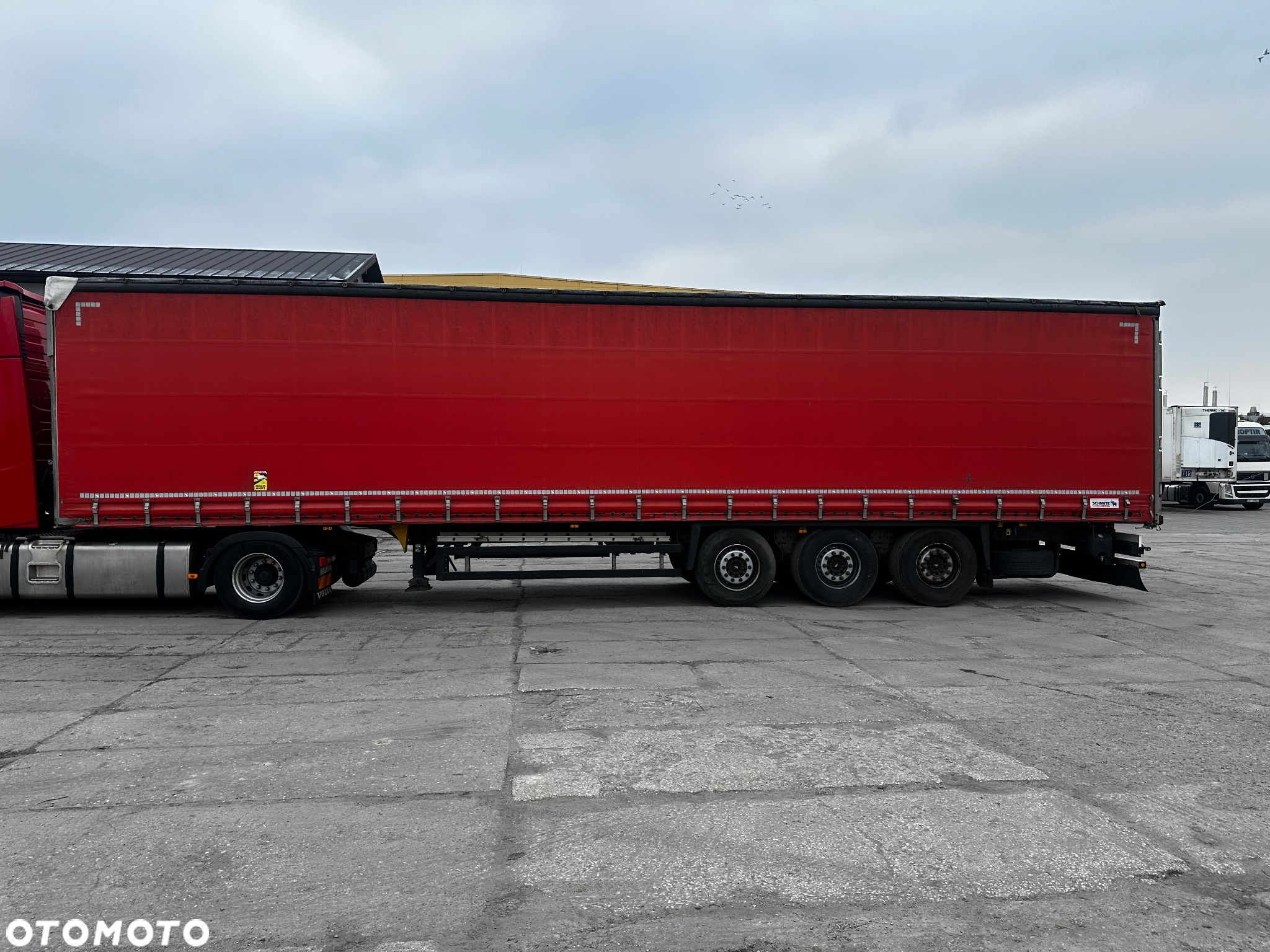 Schmitz Cargobull - 3