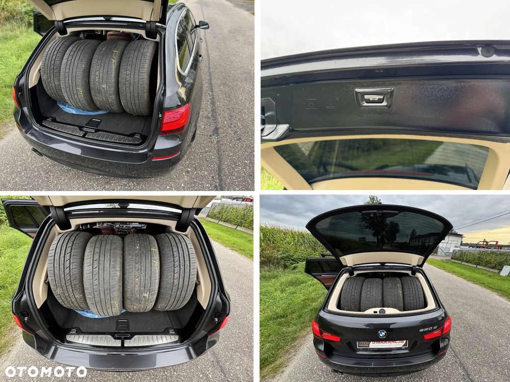 BMW Seria 5 520d Edition Fleet Exclusive - 20