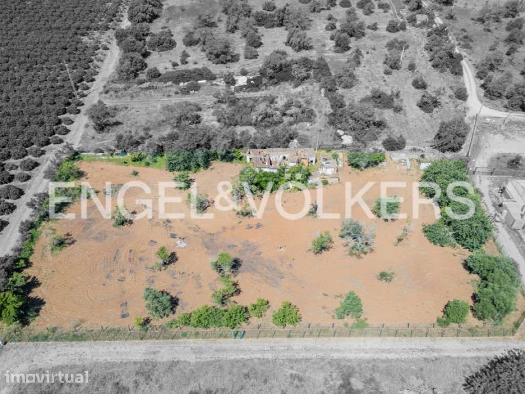 Lote Urbano com Terreno Agrícola e Potencial - Grande imagem: 5/29