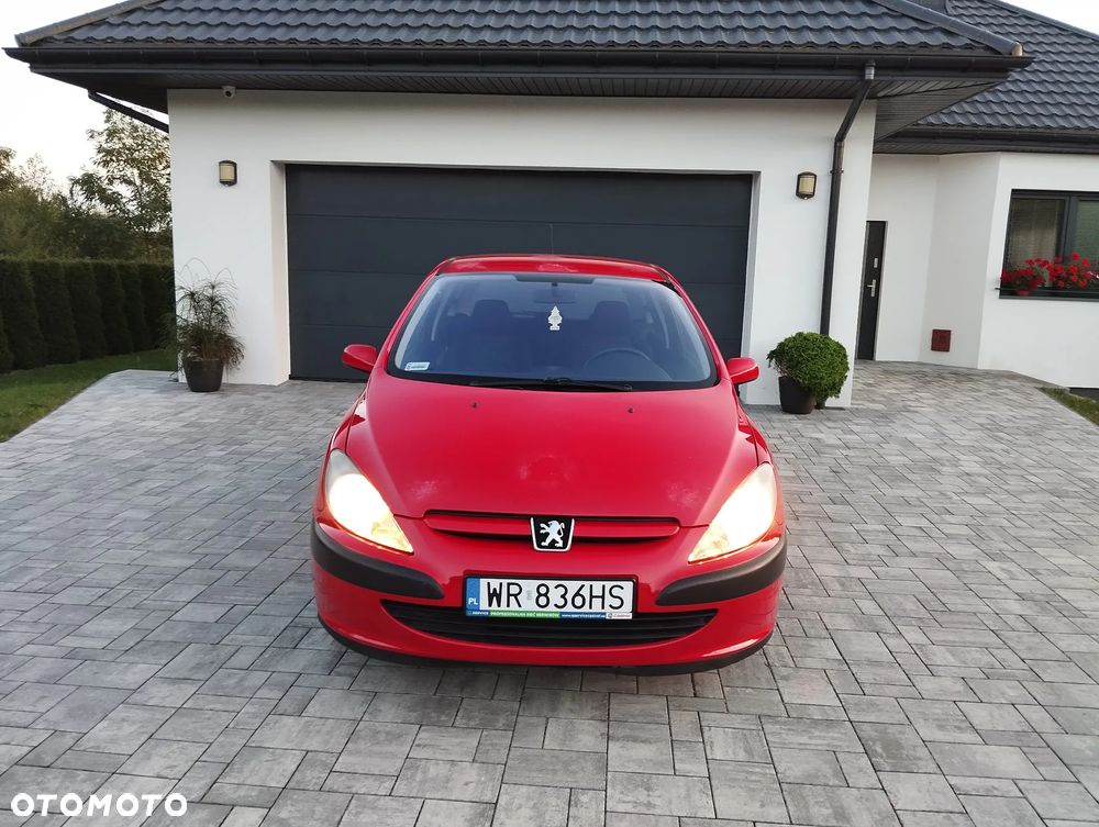 Peugeot 307 - 3