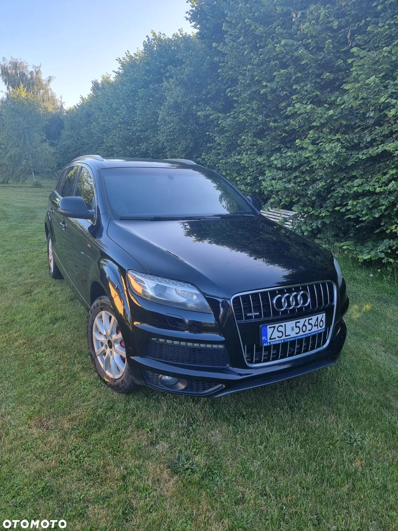 Audi Q7 3.0 TDI DPF Quattro Tiptronic - 1