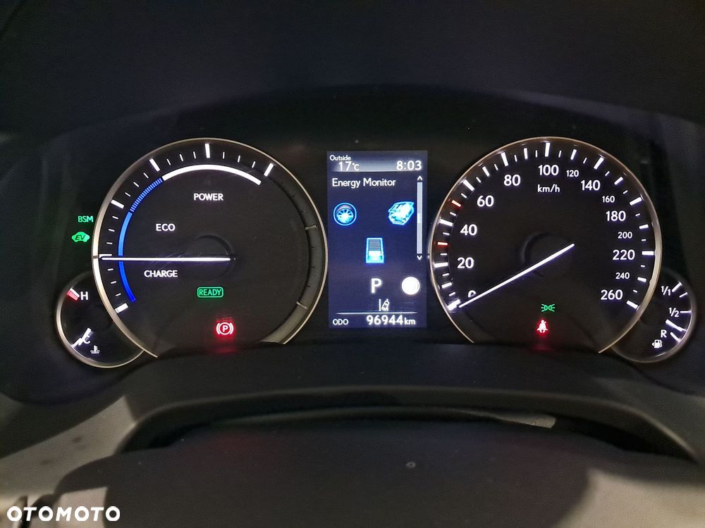 Lexus RX 450h F-Impression - 13