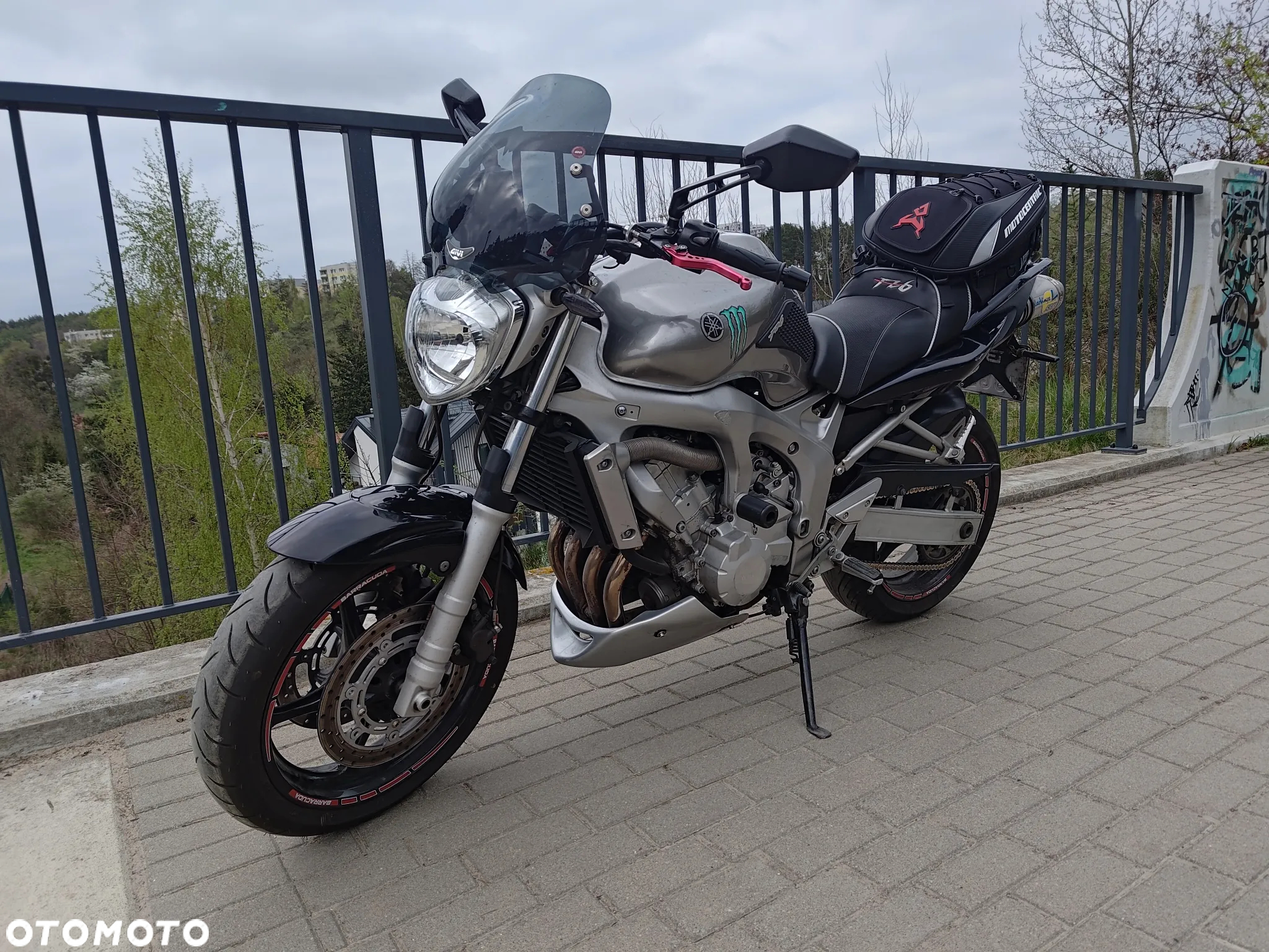 Yamaha FZ6 - 5