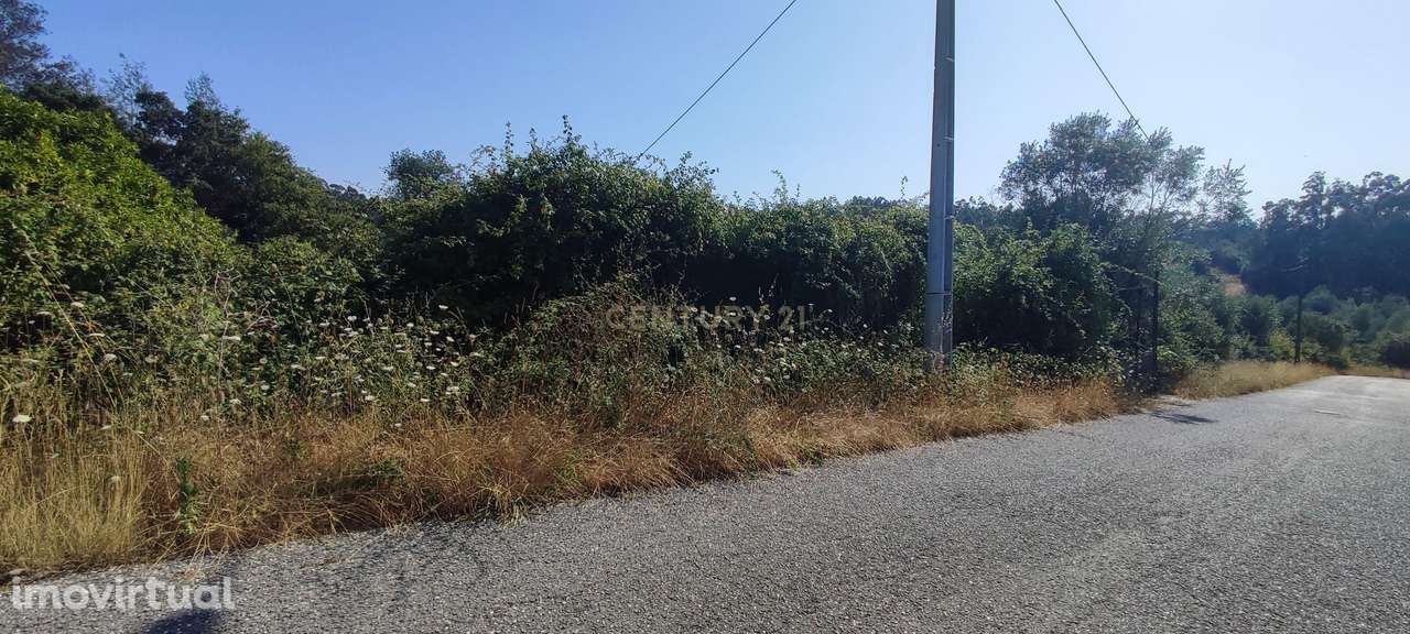 Terreno à venda em Coimbra, São Martinho do Bispo - Grande imagem: 4/10