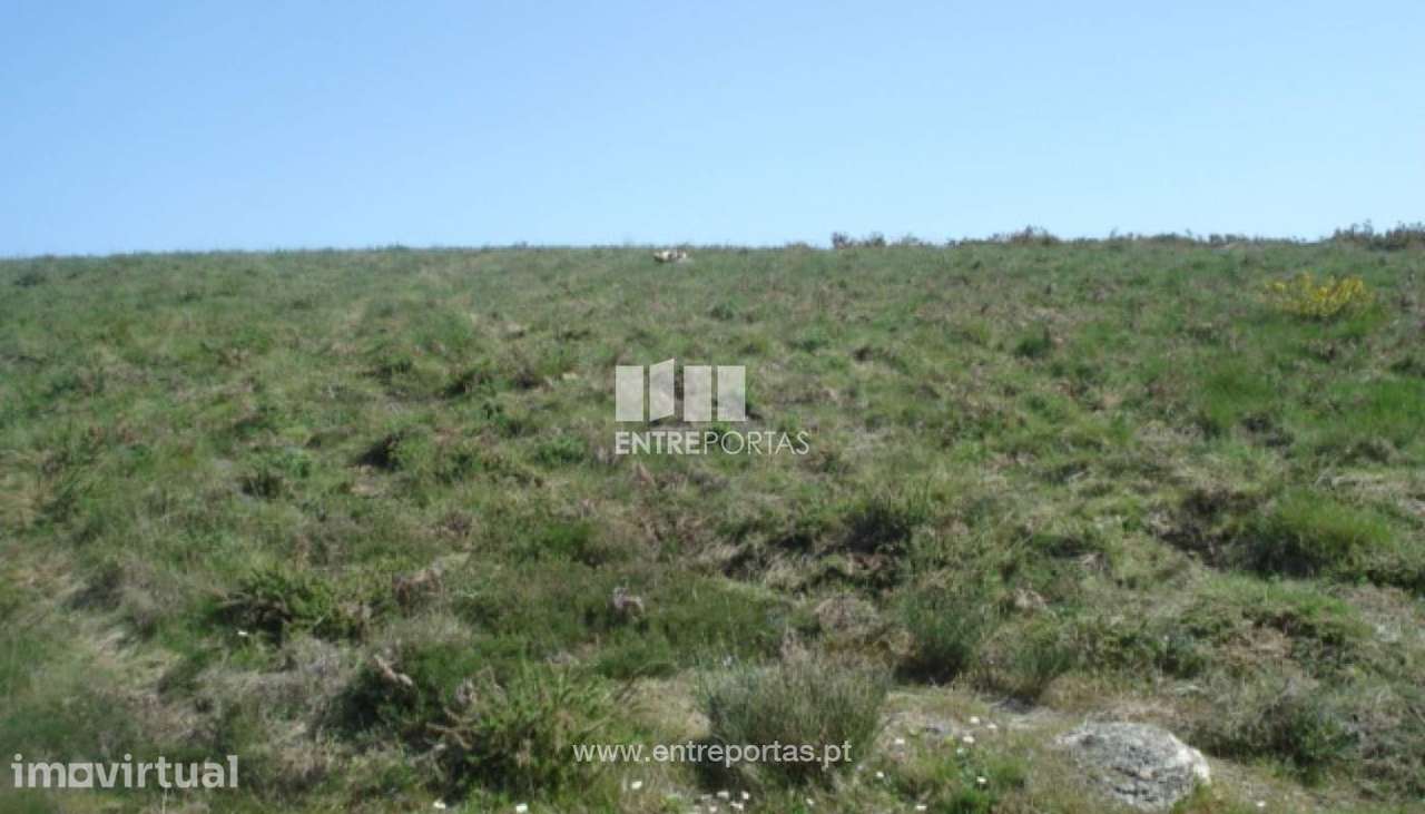 Venda Terreno, vista desafogada, Penha Longa, Marco de Canaveses - Grande imagem: 2/9