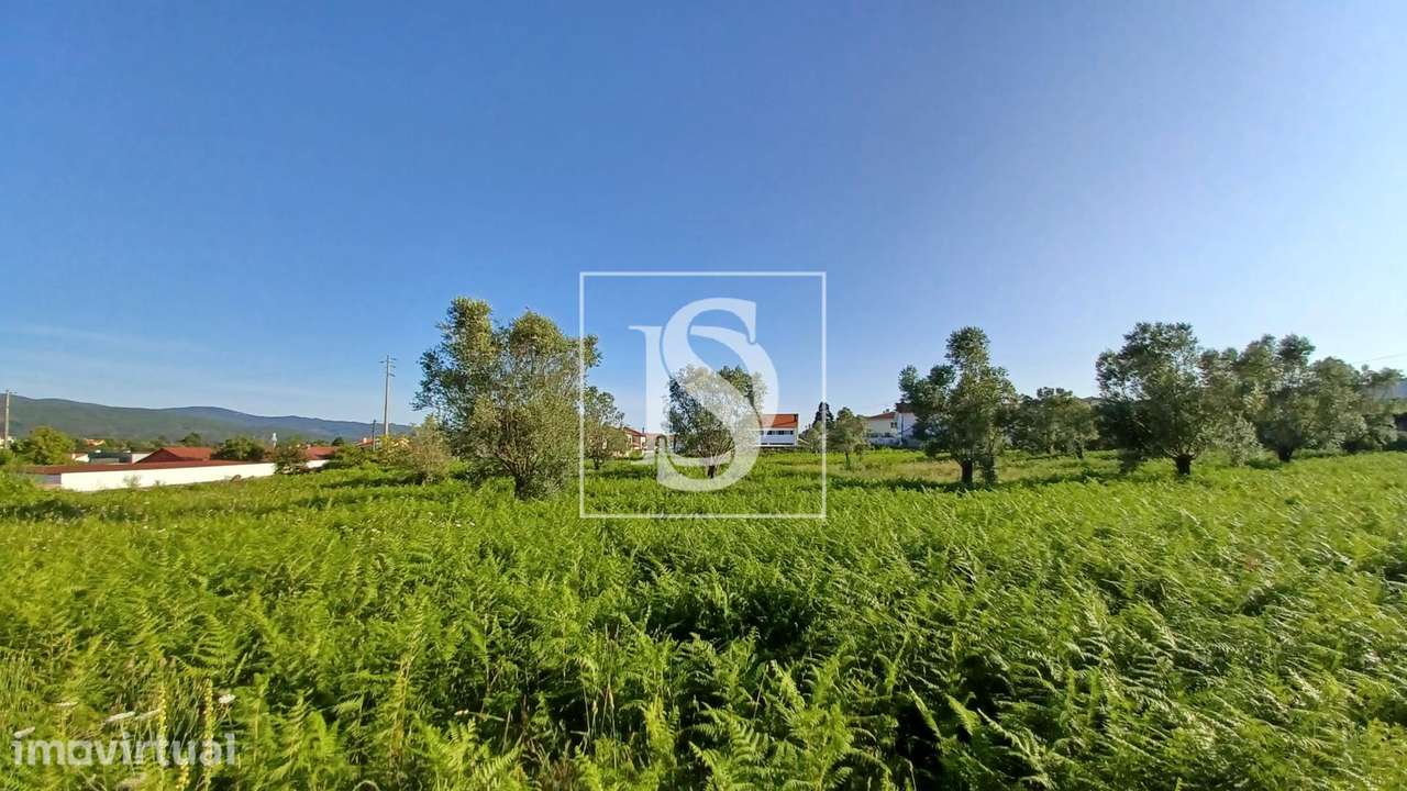 Terreno  Venda em Mujães,Viana do Castelo - Grande imagem: 3/30