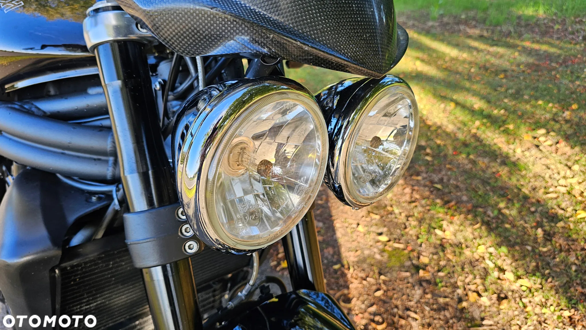 Triumph Speed Triple - 11