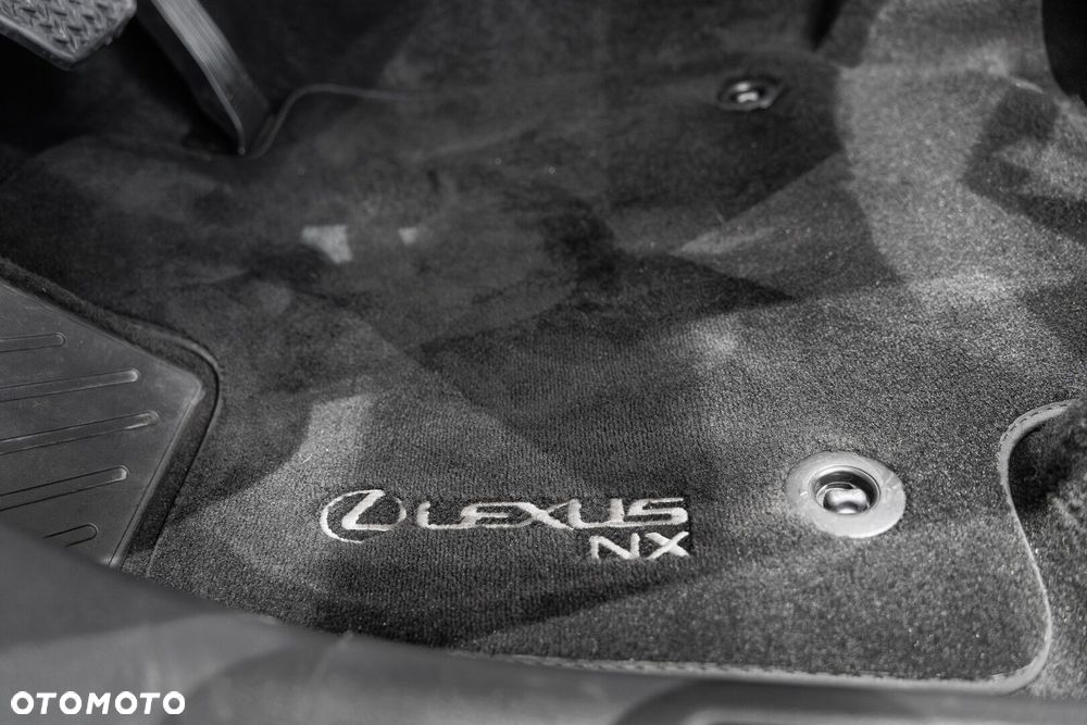 Lexus NX - 39