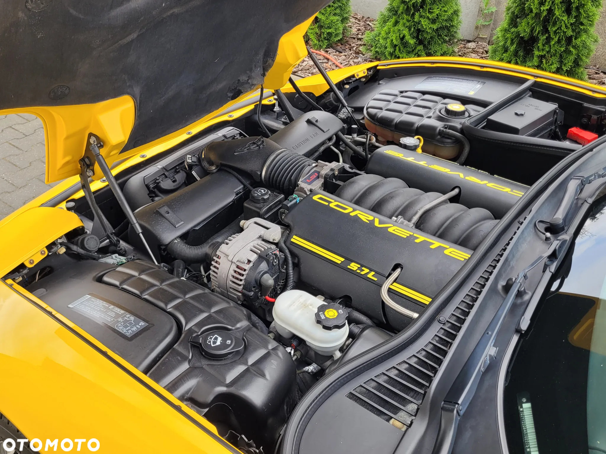 Chevrolet Corvette Coupe Automatik SB - 19