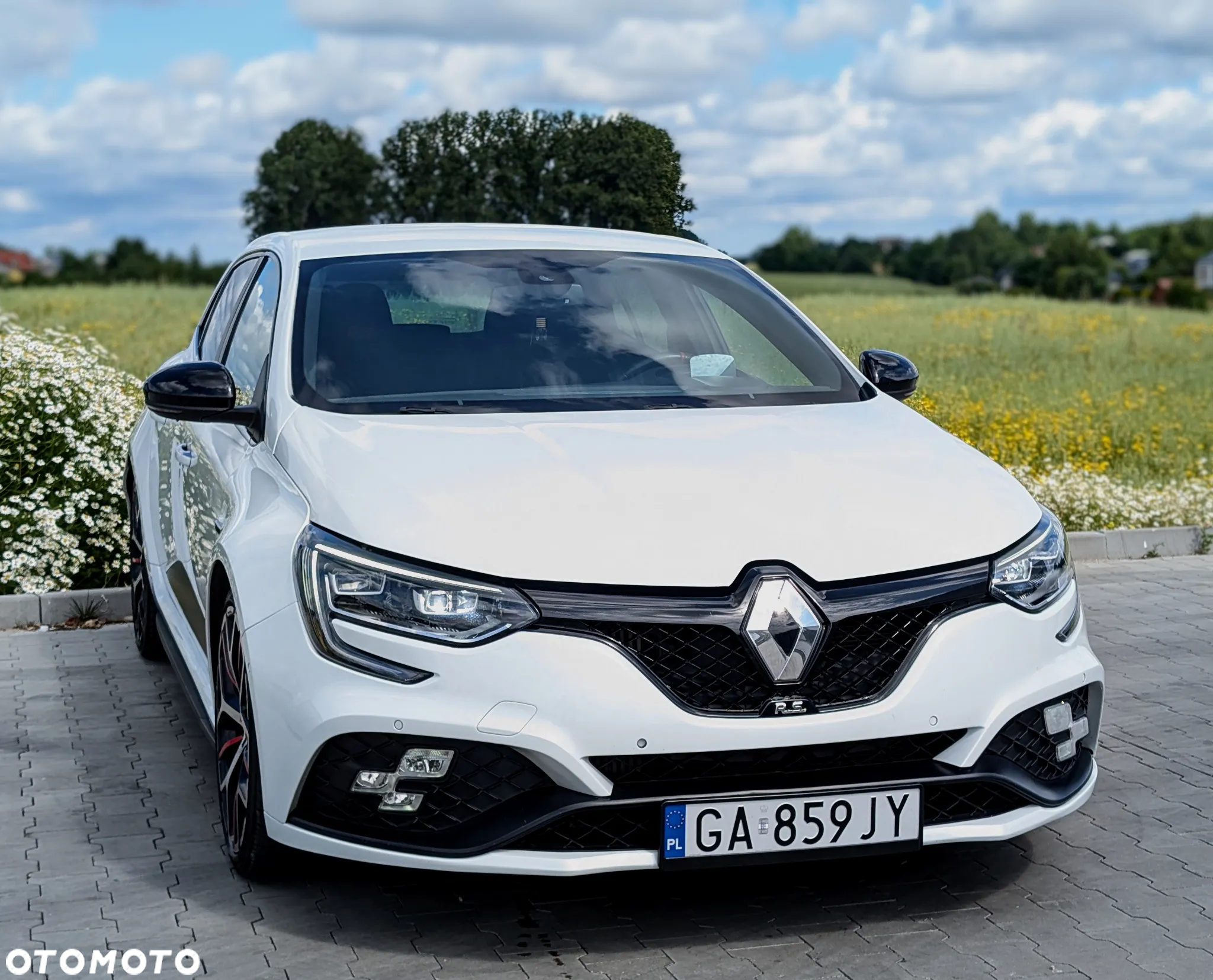 Renault Megane ENERGY TCe 280 R.S - 10