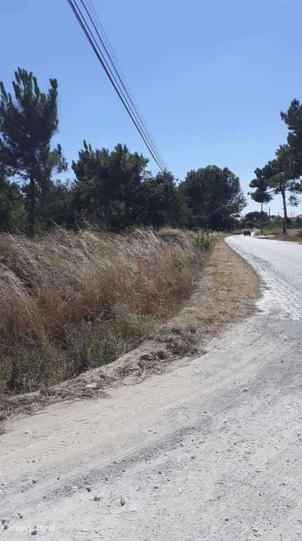 Azeitão Terreno com 10.000 m2 de gaveto. - Grande imagem: 2/9