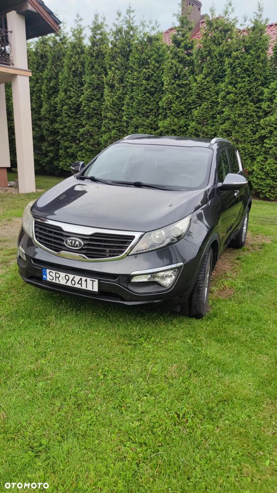 Kia Sportage - 1