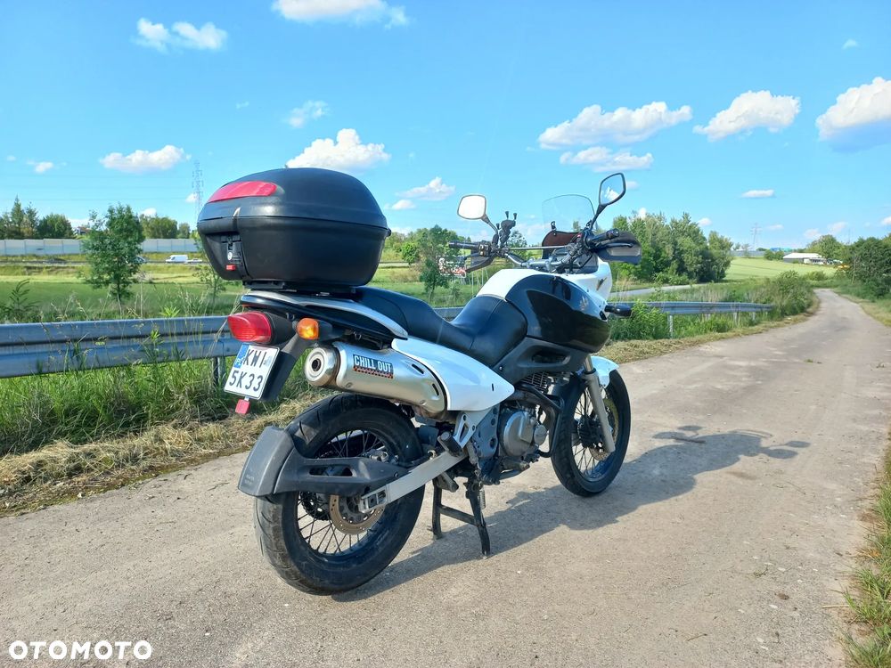 Suzuki XF - 3