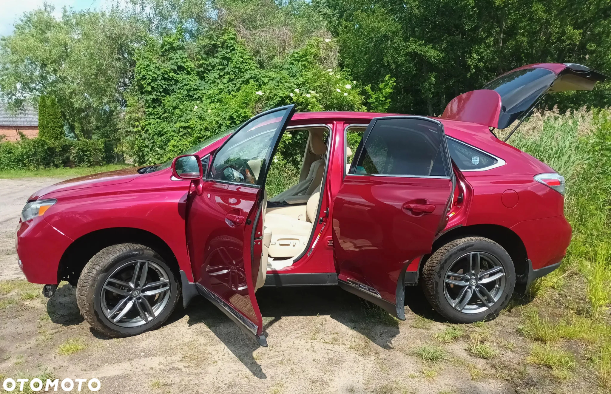 Lexus RX 450h (hybrid) Executive Line - 31