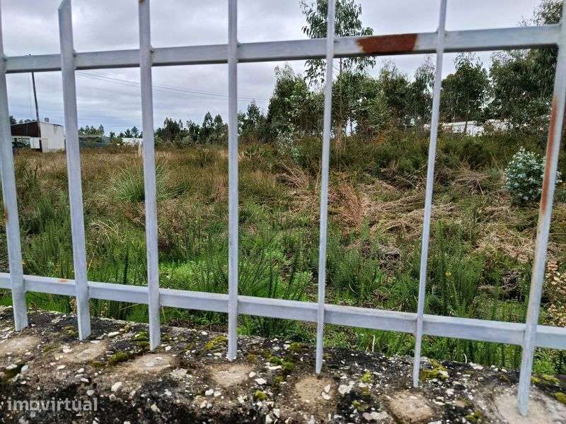 Vendo terreno Cabomonte -Feira - Grande imagem: 4/4