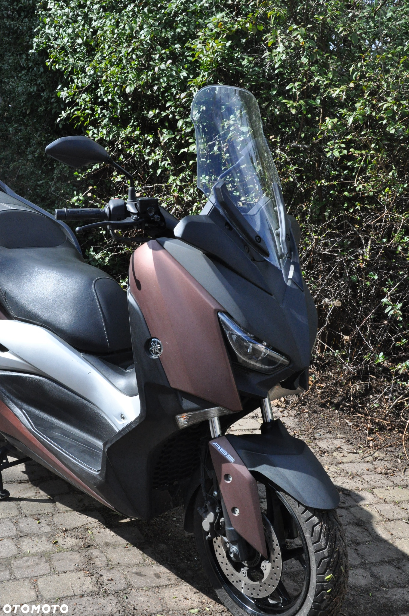 Yamaha X-max - 5