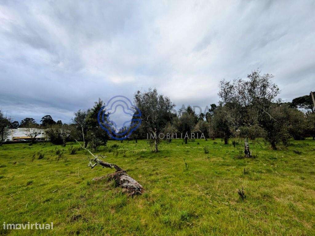 Terreno Urbano em Silgueiros - Grande imagem: 4/25