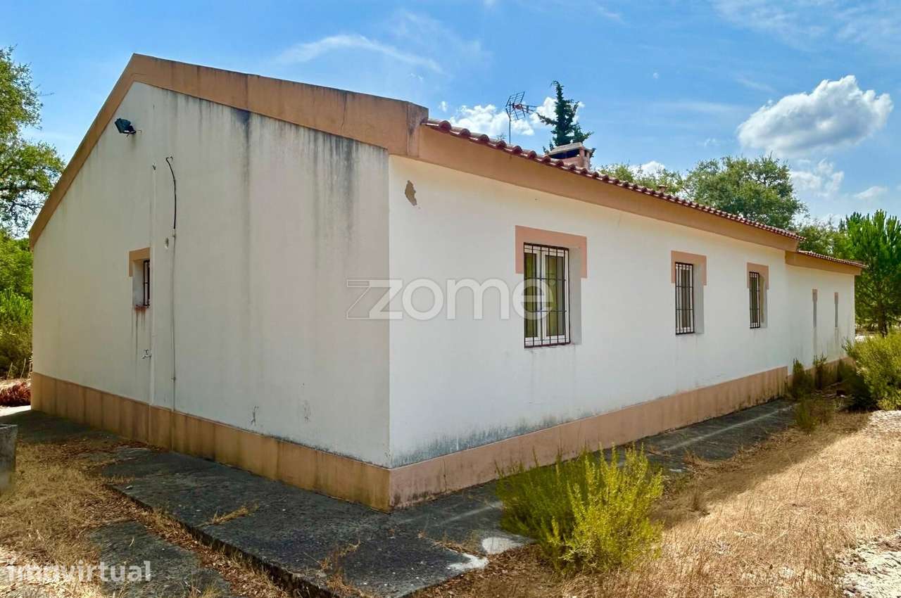 Propriedade 30 HA Grândola - Grande imagem: 4/15