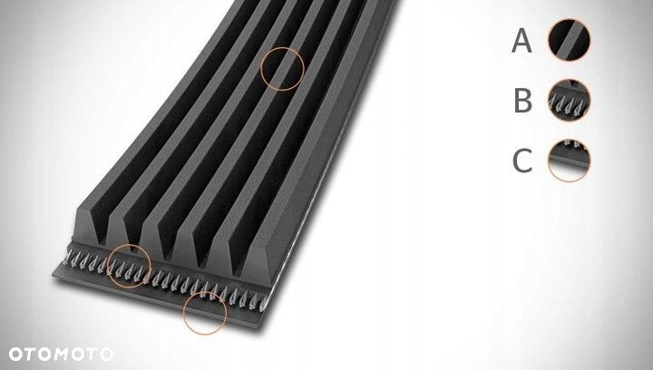 CONTINENTAL 4PK711 PASEK KLINOWY WIELOROWKOWY FORD MONDEO III VW CRAFTER - 3