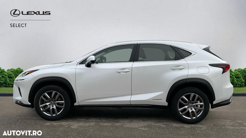Lexus Seria NX 300h E-FOUR Executive Line - 5
