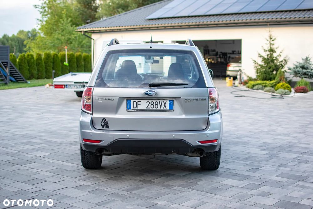 Subaru Forester - 13