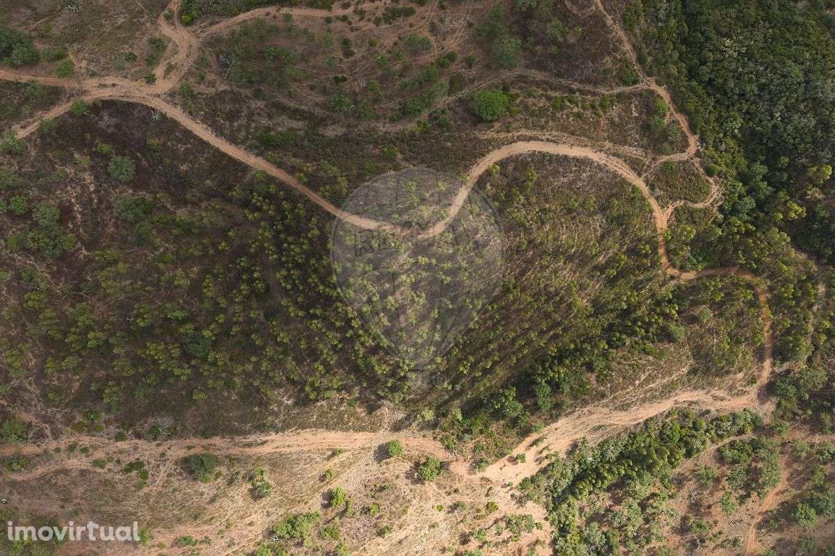 Quinta  para venda - Grande imagem: 4/44