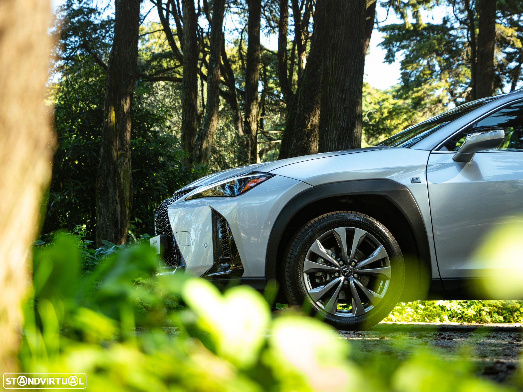 Lexus ux-250h Sport - 25