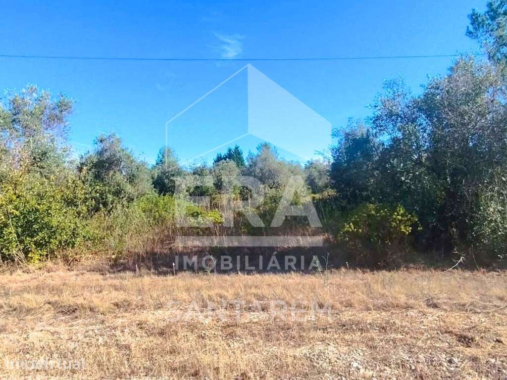 Terreno com 5.960m2 - Grande imagem: 5/7
