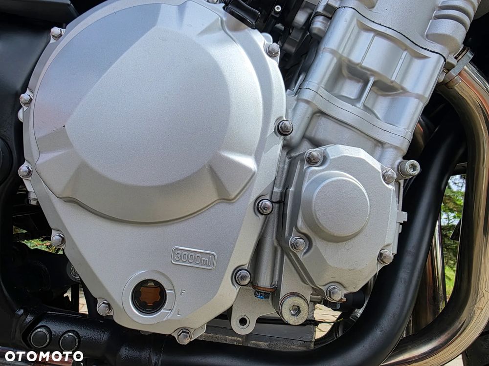 Suzuki Bandit - 38