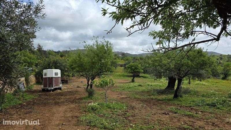 Terreno Rústico com Área Urbana – Estoi, Faro
Terreno rústico à venda - Grande imagem: 5/11