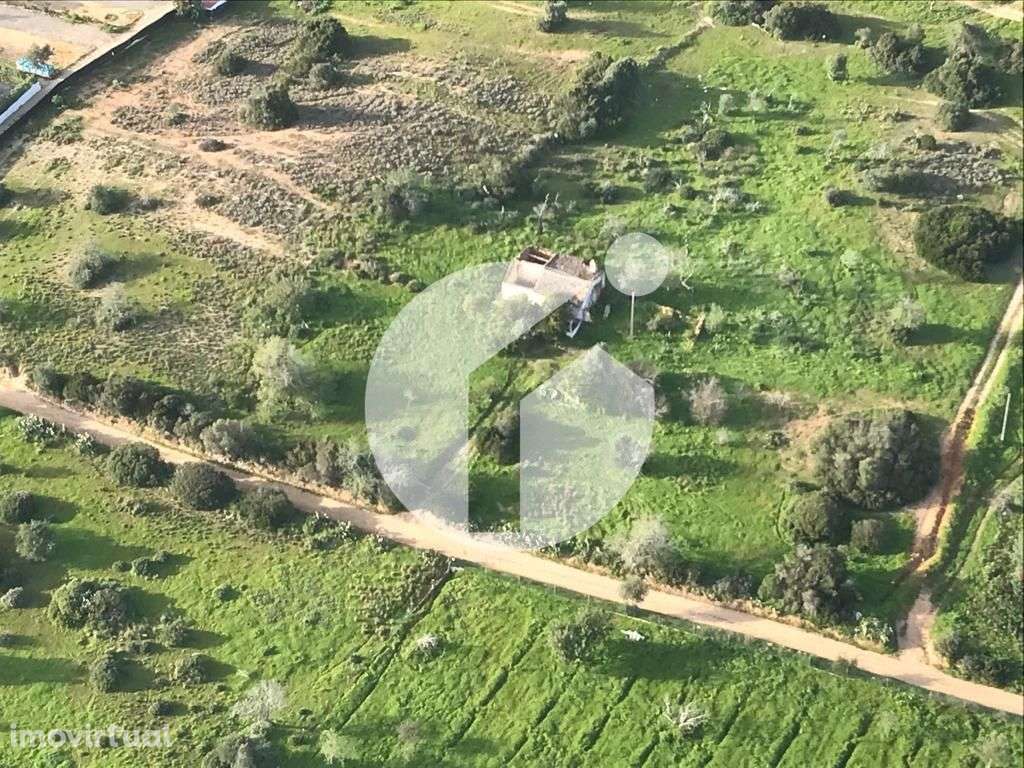 Terreno com Ruína – Olhão - Brancanes - Grande imagem: 5/16
