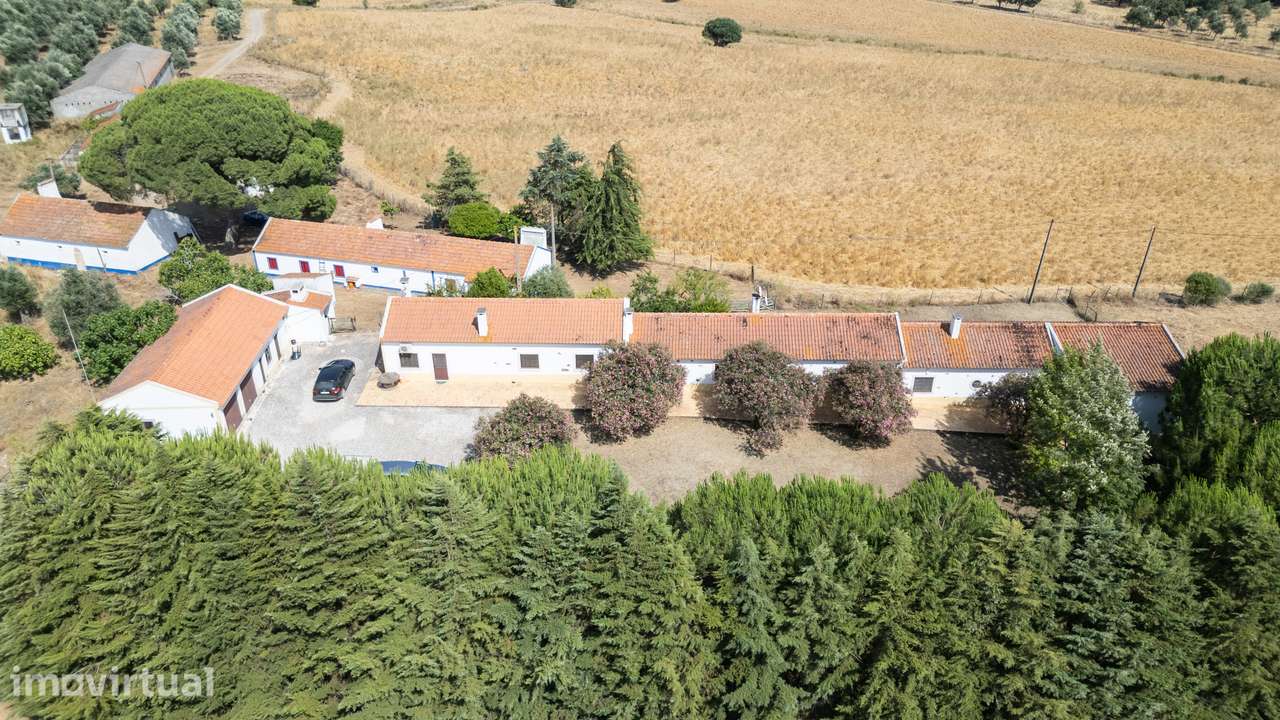 Herdade 38 ha com Barragem Privativa – Alcácer do Sal - Grande imagem: 2/5