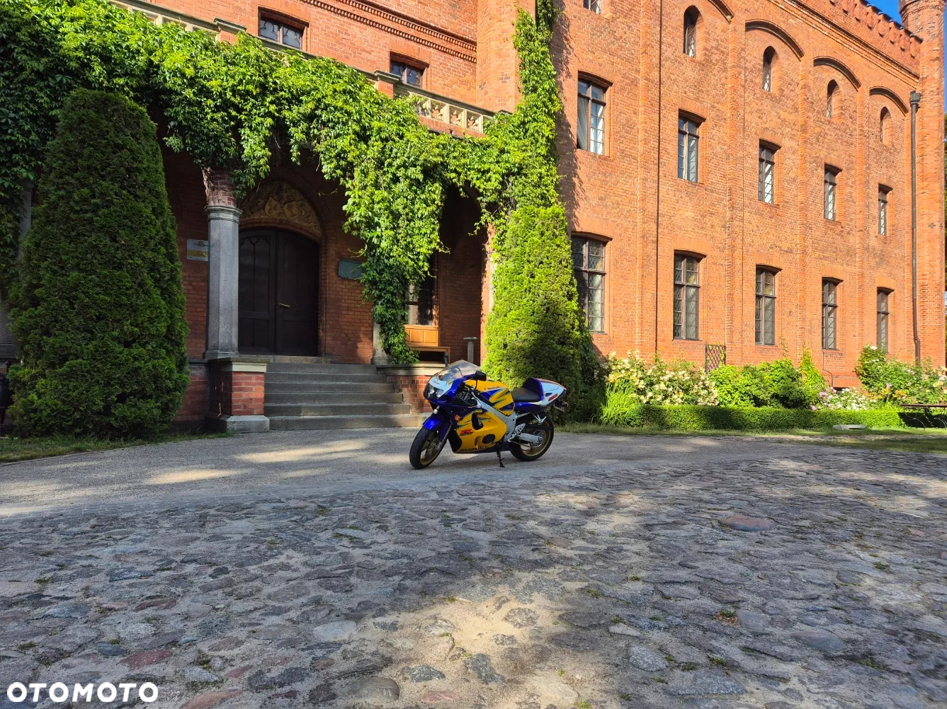 Suzuki GSX-R - 24