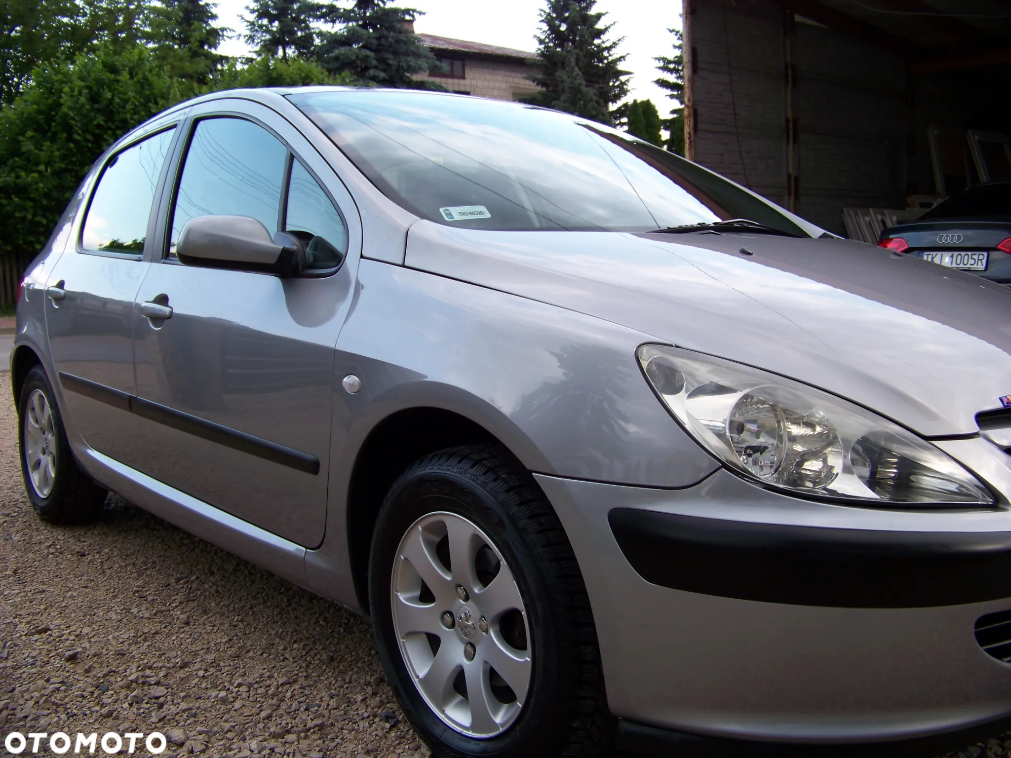 Peugeot 307 1.4 Mistral - 13
