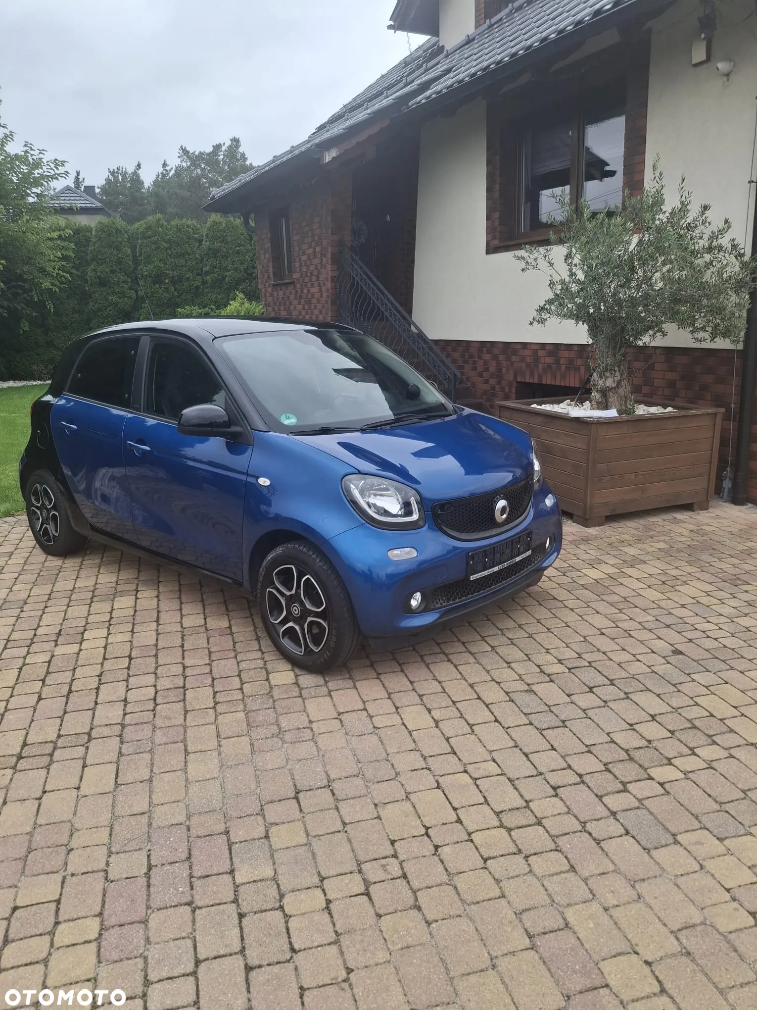 Smart Forfour prime - 24