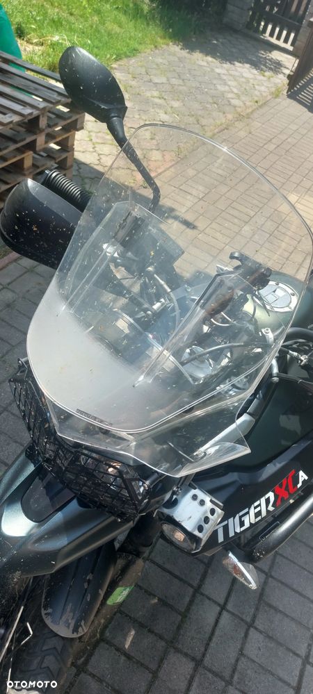 Triumph Tiger - 4